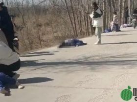山东德州醉酒司机驾车高速撞入小学生放学人群,网传最少7死