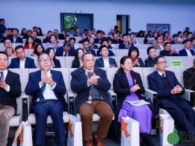 产业落地人才归巢,广大侨胞助力广东高质量发展