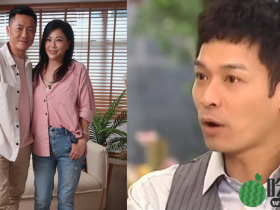 郭晋安曾认戴绿帽!恋刘小慧被狠飞,女方移情苏志威