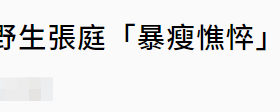 张庭老公张庭近照老到快认不出,素颜去新加坡无精打采,头发泛白撞脸陈坤