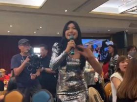 细龙太陈思圻贴身低胸短裙献唱,网民赞似台湾女神