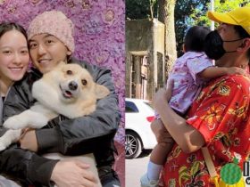 黄子佼藏百部性爱片包括未成年者,老婆孟耿如护夫遭网友狂轰