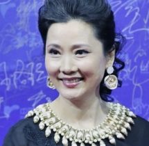 明星档案:何赛飞个人资料