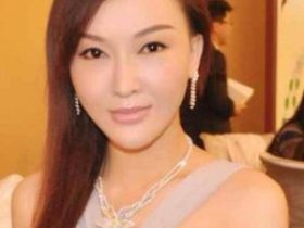 明星档案:胡静林个人资料