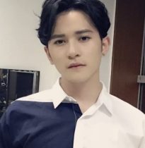 明星档案：刘洲成个人资料