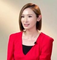 明星档案:陈贝儿个人资料