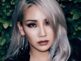 明星档案:李彩琳个人资料