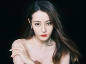 明星档案:迪丽热巴个人资料