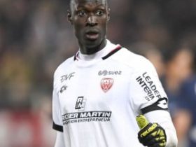 明星档案:阿尔弗雷德-戈米斯(2022卡塔尔世界杯塞内加尔队门将队员)个人资料