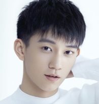 明星档案:王子奇个人资料