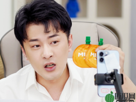 辛巴的网红学校，即将开学：五年内不会盈利