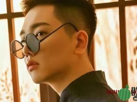 为流量丢掉性命的10位网红，各个都让人惋惜