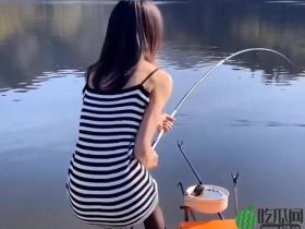 网红钓鱼上瘾,天津李四上百万,老方丈几十万