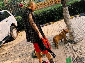 老方丈被封天津李四预感风险,提前退居幕后