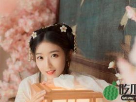 网红达人红格格个人资料简介