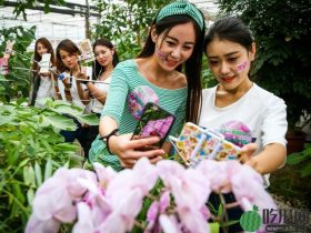 榜一大哥给主播刷跑车，现实睡桥洞，入戏太深