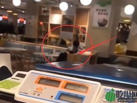 扬州情侣食堂上下运动是什么瓜