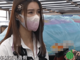 前虎牙美女主播罗玉姬子豪车被撞,“骗保”引发全网热议!