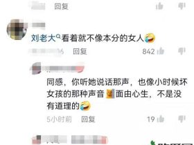 网红“刘老大”声称被家暴,网友:挨打活该