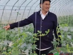 大衣哥给儿子建大棚，自食其力值得赞扬