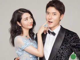 港台女星嫁给内地小鲜肉，婚后都很幸福？一对已离婚！