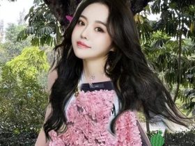 猫妹粉丝不满辛巴偏心:卖300亿,他也偏向