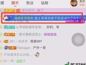 钱小佳现身斗鱼平台掀起喇叭大战老对手B总