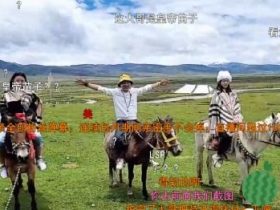 斗鱼川味箩卜与美女主播西藏直播,网友:赶紧来给美女当保镖!