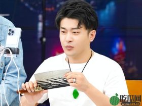 蛋蛋为辛巴出头,怒斥各大网红倚老卖老