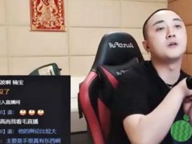 虎牙啊南很忙噶给子龙转账,并表示:我等对面来锤我!