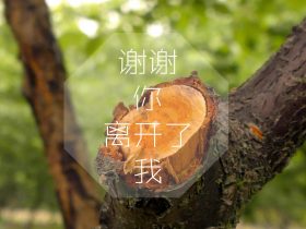 北京公交车灵异事件,北京公交车灵异事件真实情况