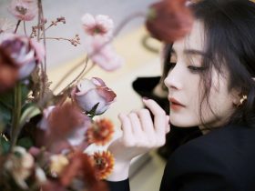 三鹿奶粉事件,三鹿奶粉事件时间