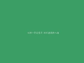 红衣男孩事件,08年红衣少年案