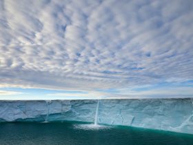 胡文海事件,榆次胡文海事件