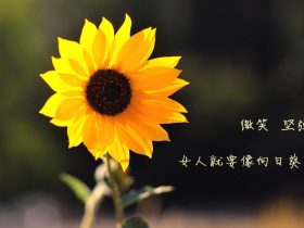 蒙牛事件,蒙牛事件2020热搜