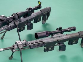 罗布泊双鱼玉佩事件,罗布泊双鱼玉佩事件详细