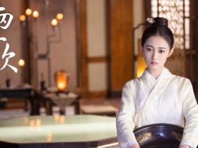 赵薇穿日本军旗装事件,赵薇穿日本军旗装事件始末