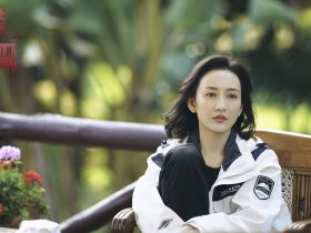 气球事件,流浪气球事件