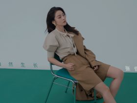 安亭事件,安亭事件的经过