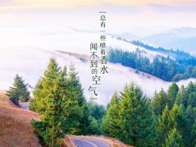 林生斌事件最新近情况官方消息,林生斌事件最新近情况官方消息央视