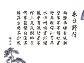小龙女事件,小龙女事件