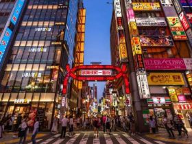 日本一些女性为男公关散尽家财